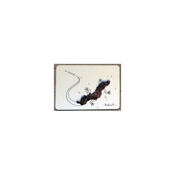 Lézard