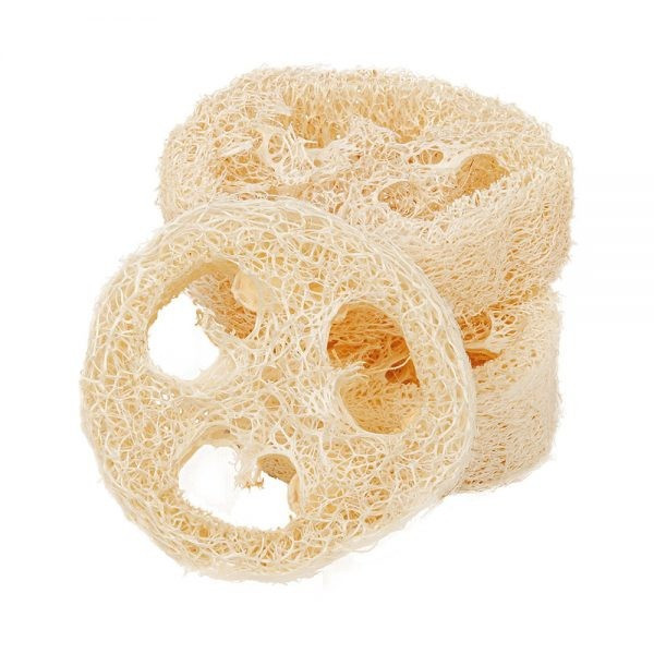 Tranche de luffa