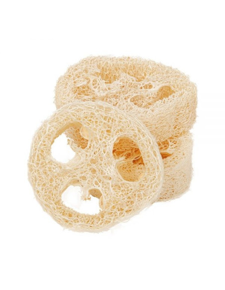Tranche de luffa