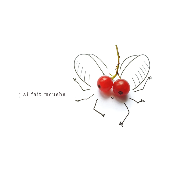 Faire mouche