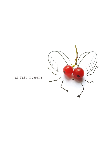 Faire mouche