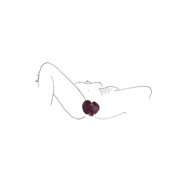Caresse