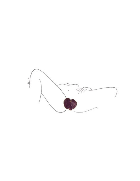 Caresse