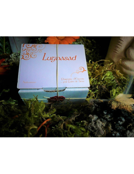 Lugnasad