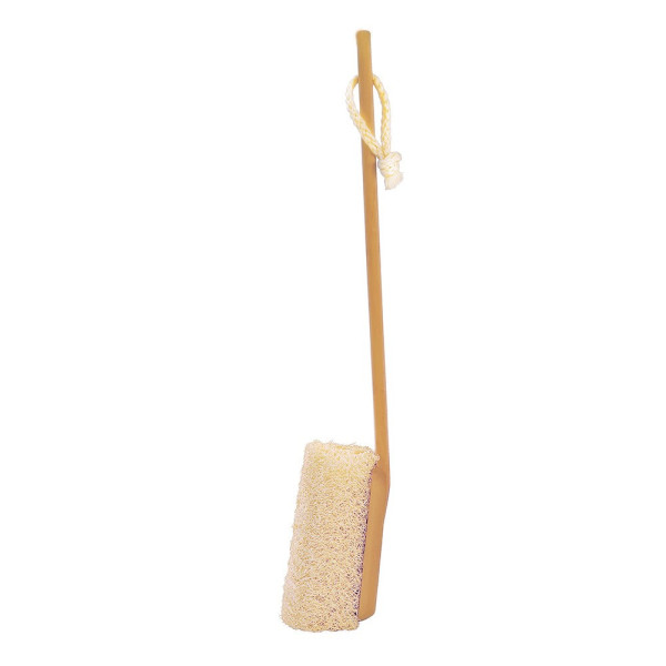 Brosse luffa