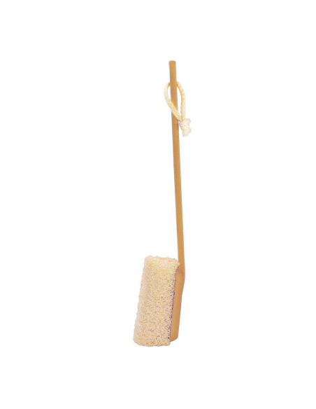 Brosse luffa