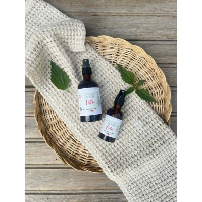 Vinaigre de soin à l'ortie
