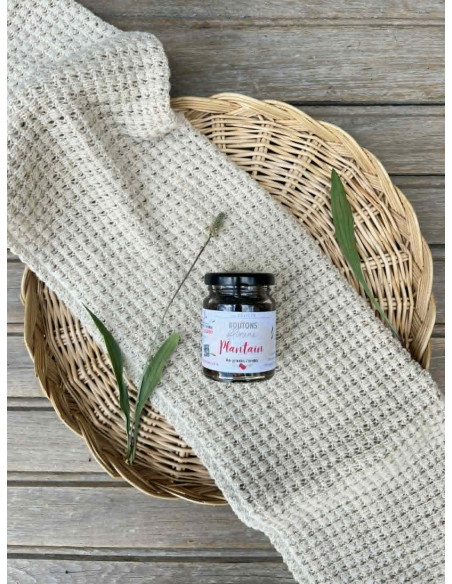 Boutons floraux - plantain