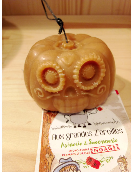 Collection automne & halloween