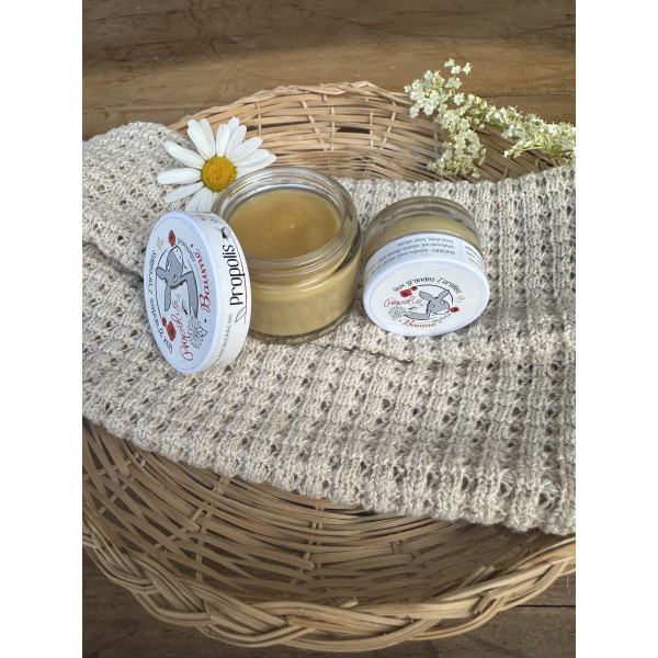 Baume au lait d'ânesse propolis